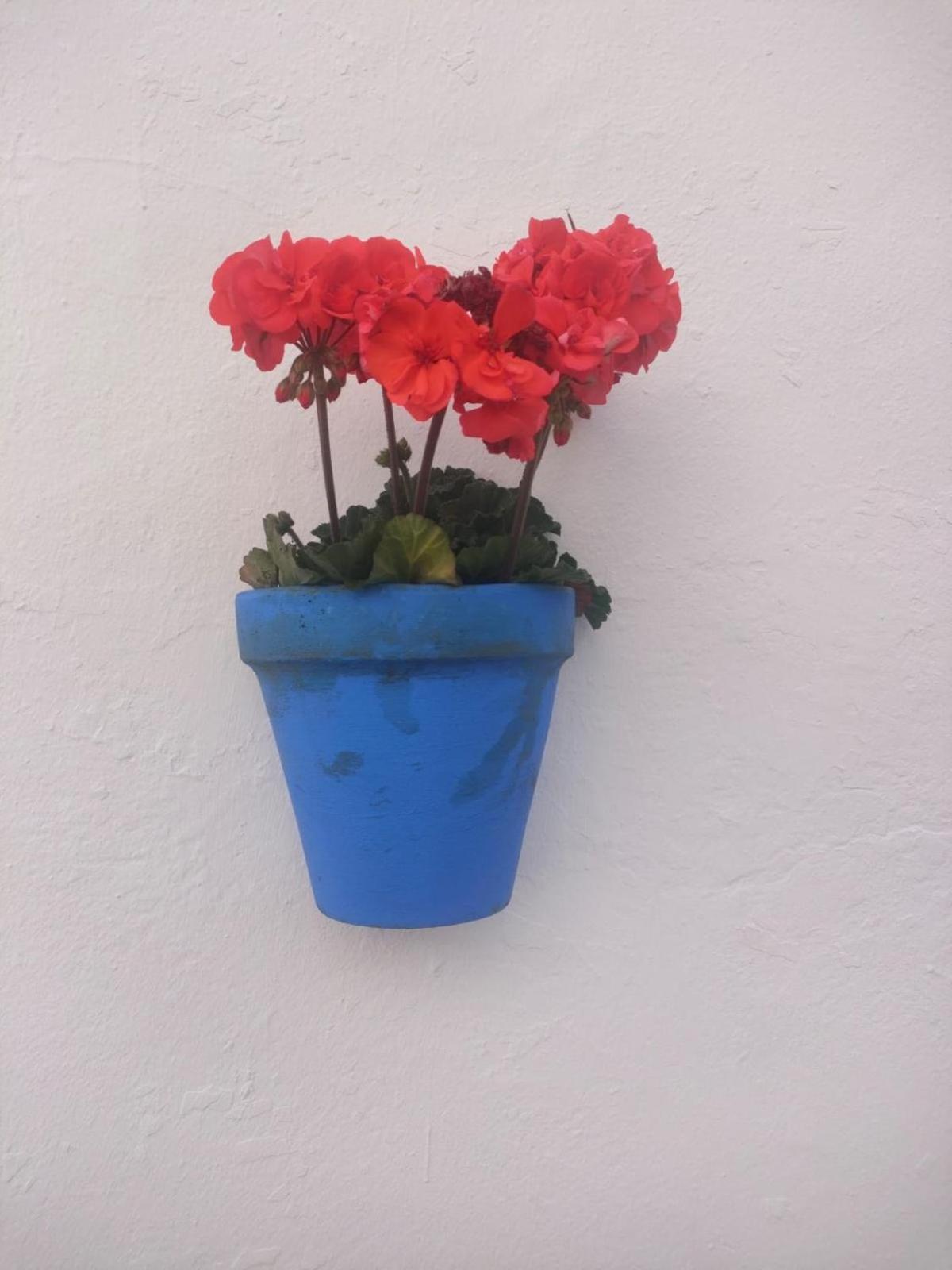 Casa De La Abuela Βίλα Sanlúcar de Barrameda Εξωτερικό φωτογραφία